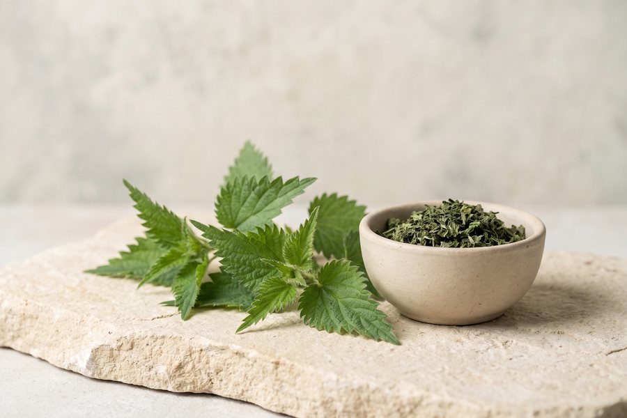 Nettle Extract