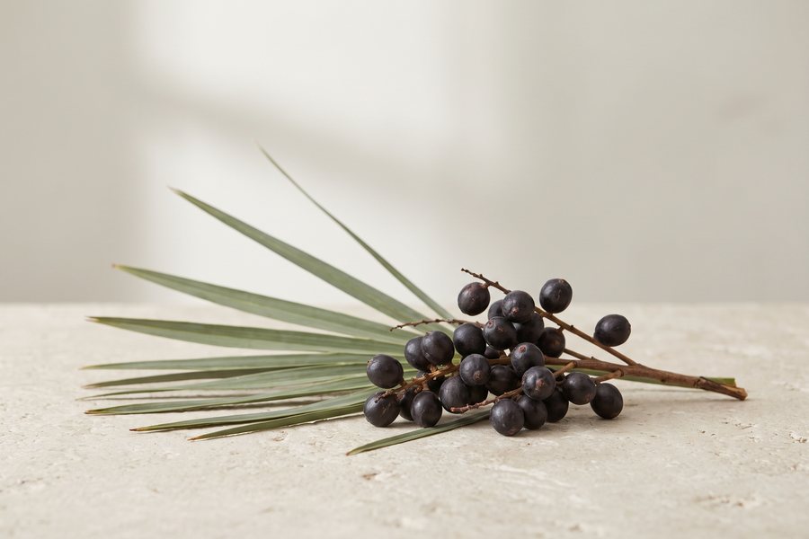 Saw Palmetto Extract